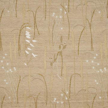 Herbier Tygprov - 36