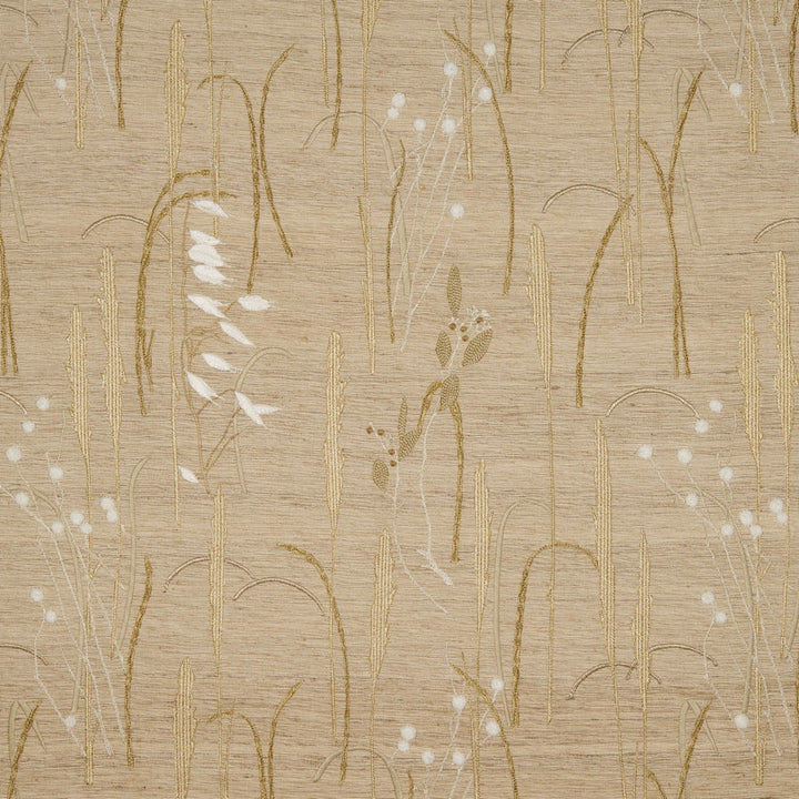 Herbier Tygprov - 36