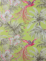 Birds Of Paradise Lemon Coral — Osborne & Little tapetprov