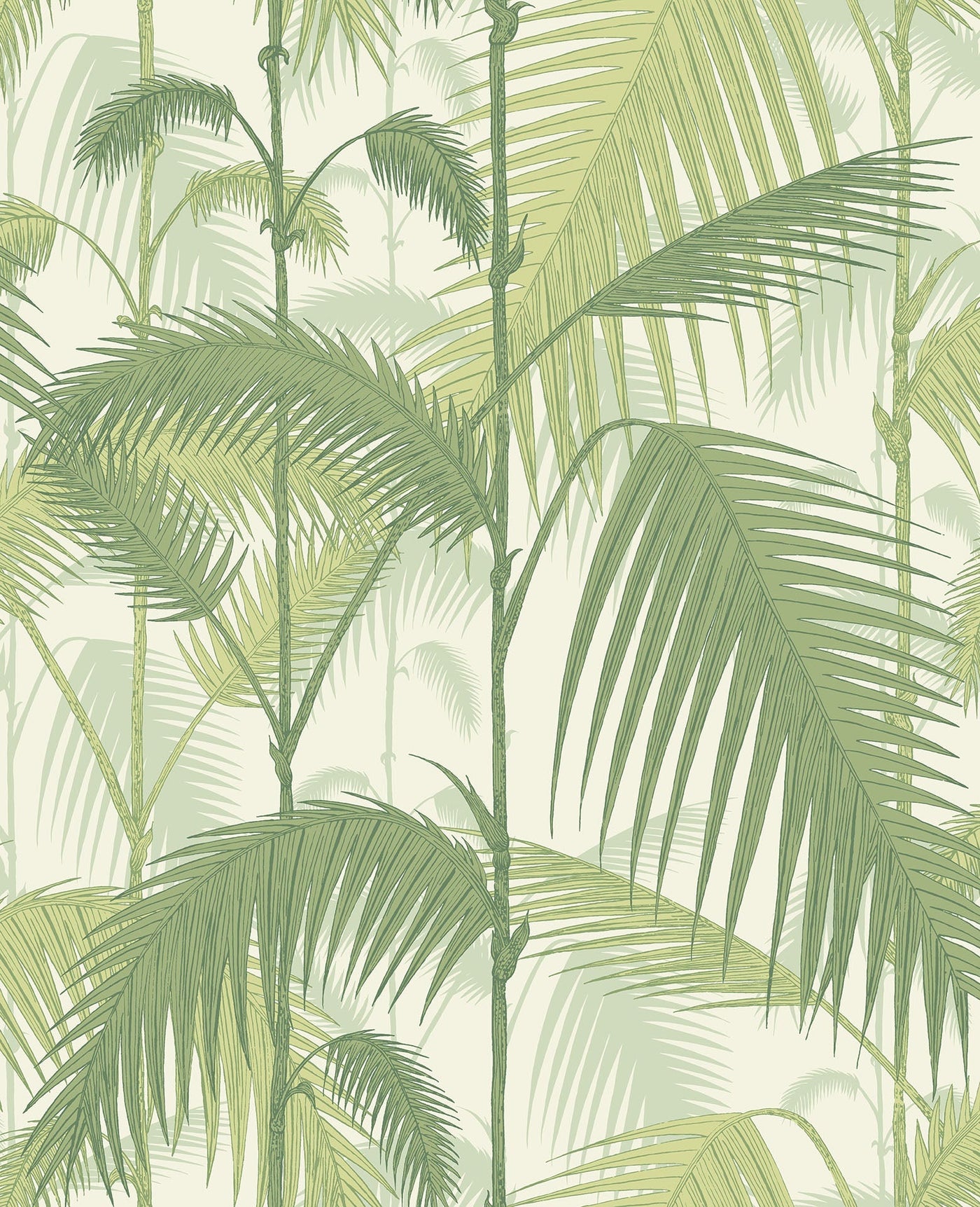 Palm Jungle — Sample / Olive Green on White