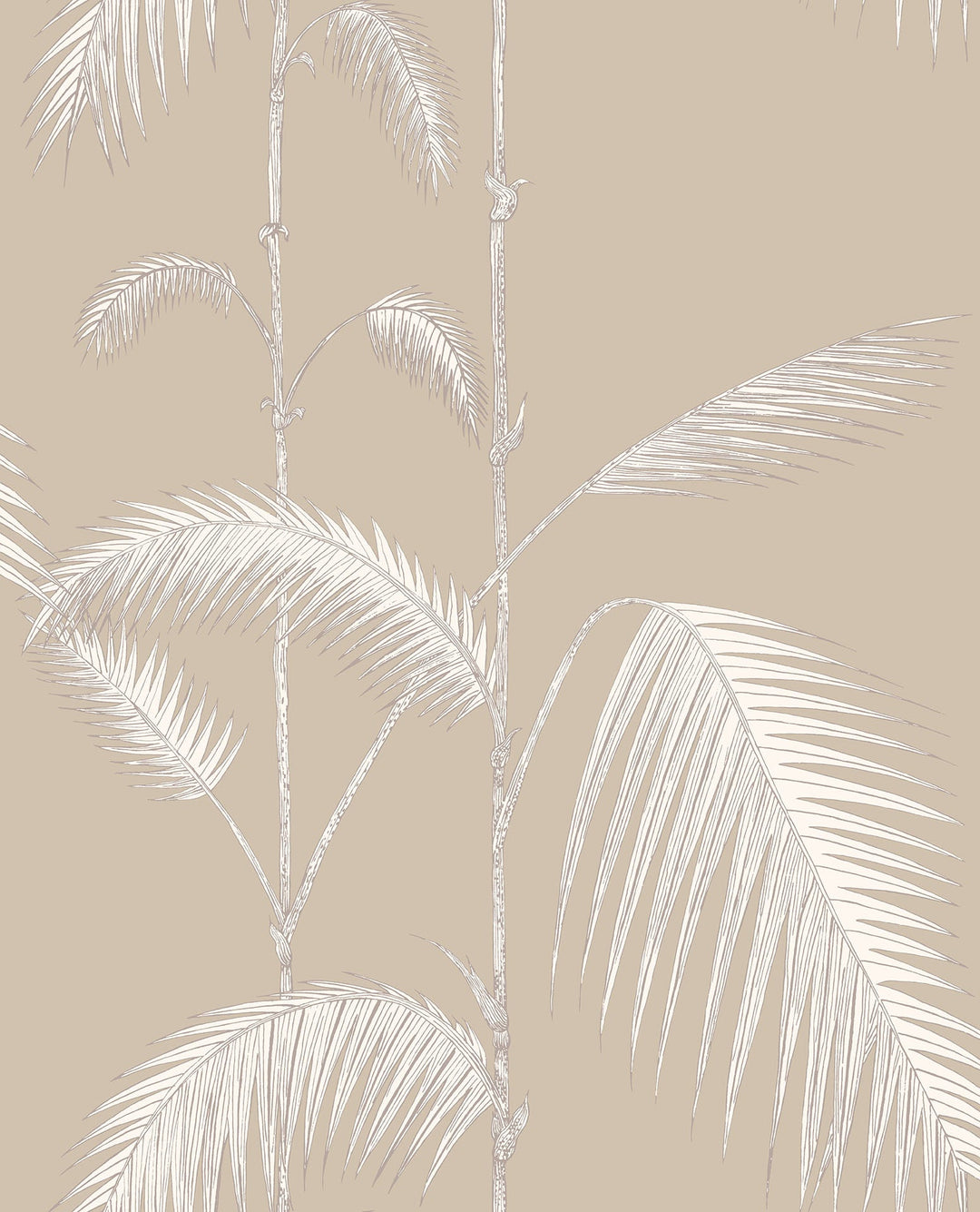 Palm Leaves Tapetprov