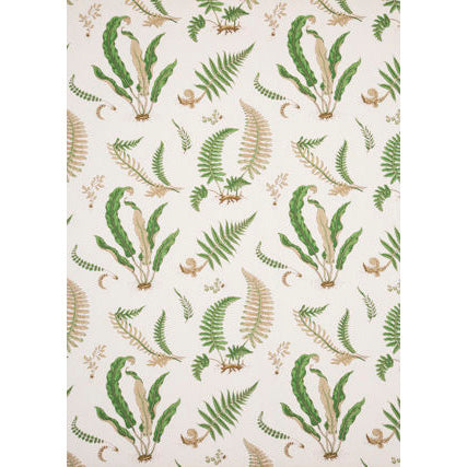 Ferns — Originals Stone/Green tyg