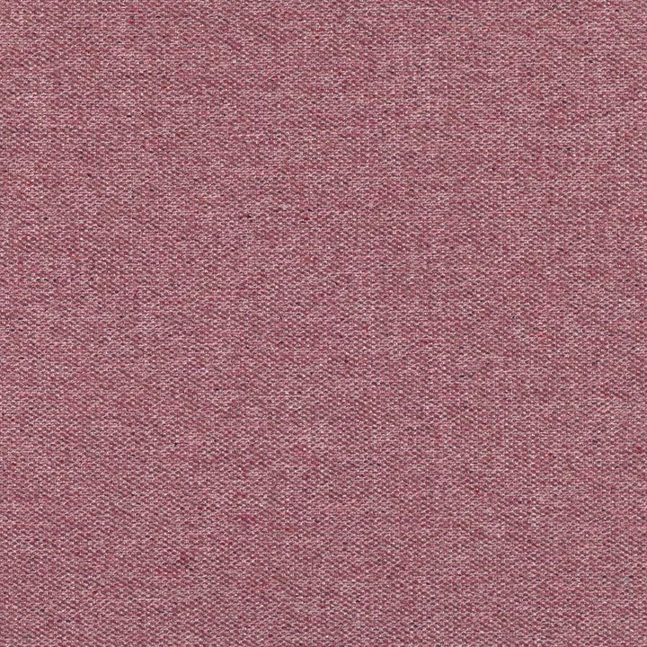 Quinton Tygprov - Beetroot