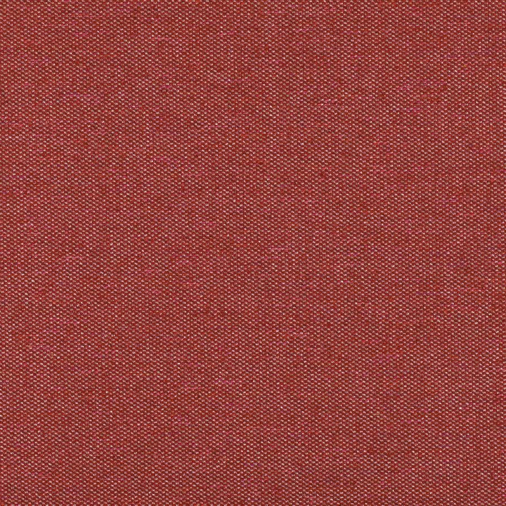 Quinton Tygprov - Cranberry