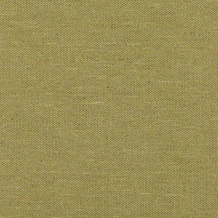 Quinton Tygprov - Pesto