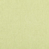 Ruskin Tygprov - Pistachio