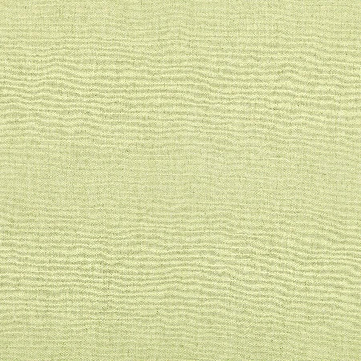 Ruskin Tygprov - Pistachio