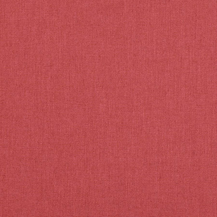 Ruskin Tygprov - Raspberry
