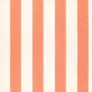 Ikaria Fabric Sample