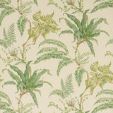 Woodfern Tapet