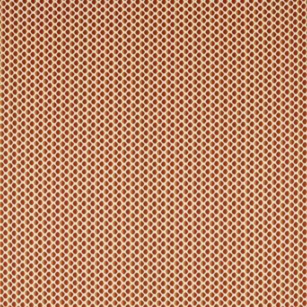Zoffany Tygprov Seymour Spot
