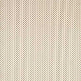 Zoffany Tygprov Seymour Spot