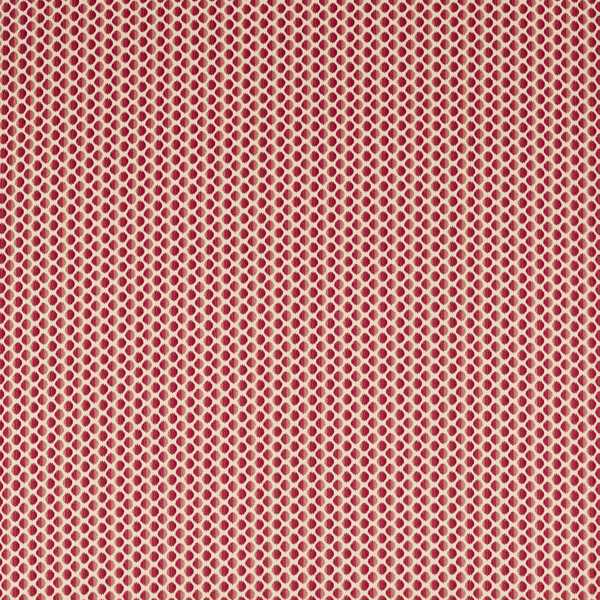 Zoffany Tygprov Seymour Spot