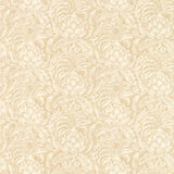 Zoffany Tapet Pina de Indes