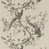 Zoffany Tapet Darnley