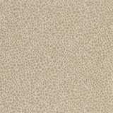 Zoffany Tapet Wallis
