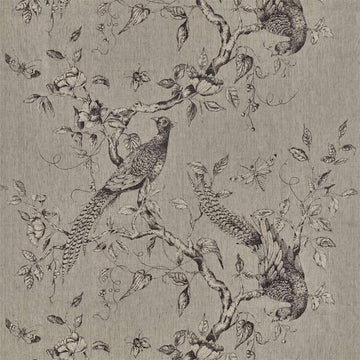 Zoffany Tygprov Darnley Toile