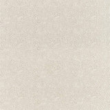 Zoffany Tyg Maze Coral