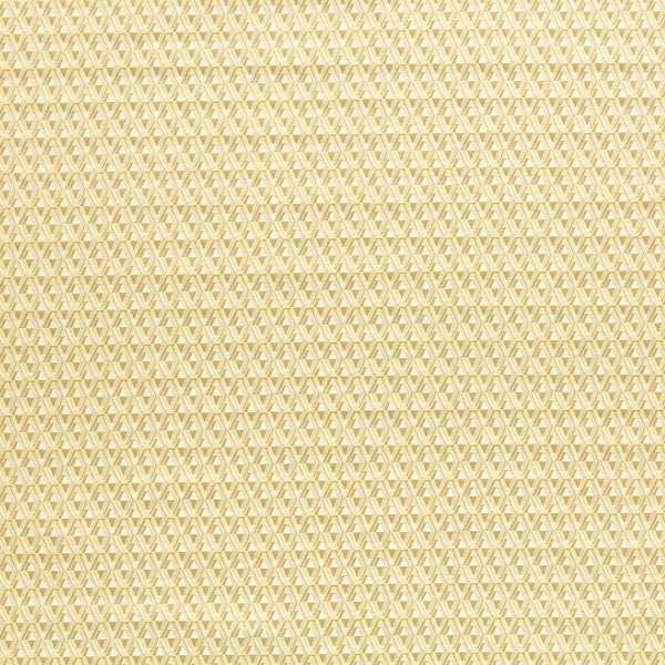 Zoffany Tyg Domino Diamond