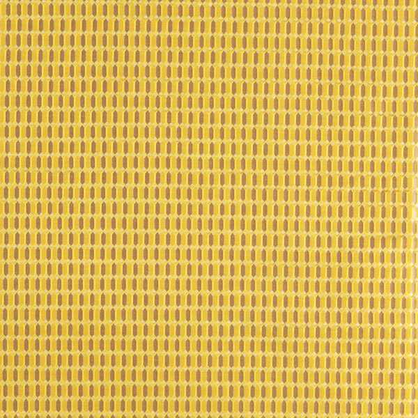Zoffany Tyg Domino Trellis