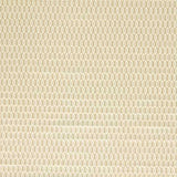 Zoffany Tyg Domino Trellis