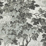Richmond Park Charcoal — Zoffany tapetprov