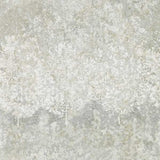 Zoffany Tapet Belvoir