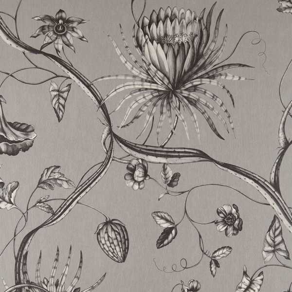 Phaedra Tapet — Zoffany