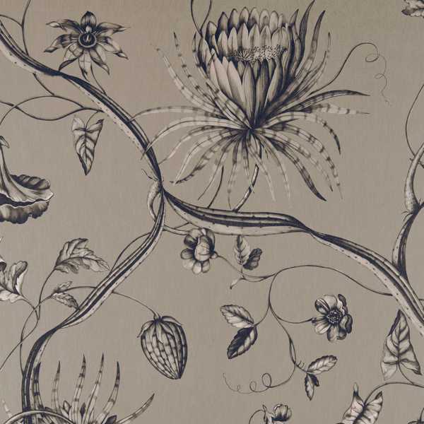 Zoffany Tygprov Phaedra