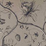 Zoffany Tygprov Phaedra