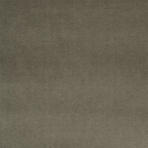 Zoffany Tyg Cotton Velvet