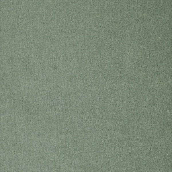 Zoffany Tyg Cotton Velvet