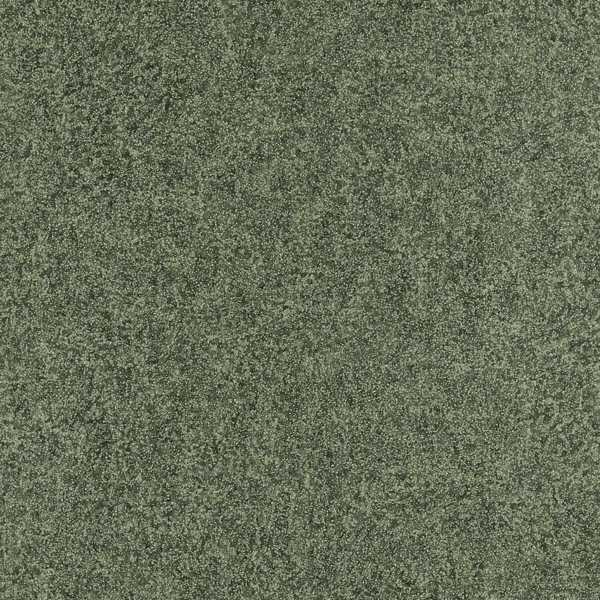 Zoffany Tapetprov Shagreen