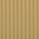 Zoffany Tygprov Suffolk Stripe