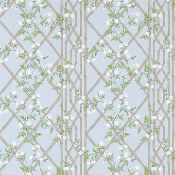 Zoffany Tapetprov Jasmine Lattice