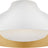 Plaster White