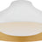 Plaster White