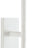 Plaster White