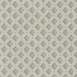 Amsee Geometric Lichen — Designers Guild tapet