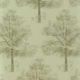 Arboretum Gold — Designers Guild tapet