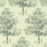 Arboretum Slate — Designers Guild tapet