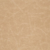 Arizona Caramel — Designers Guild