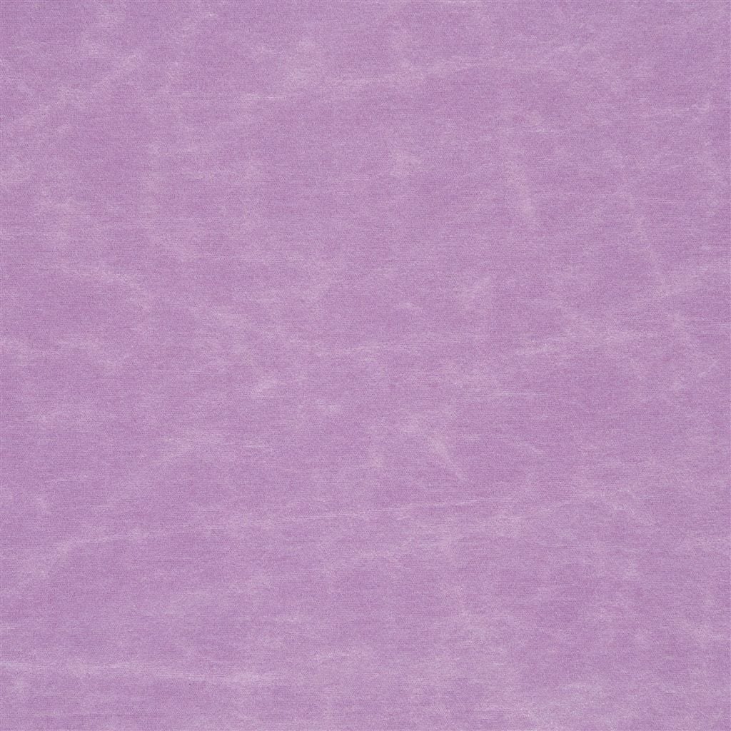 Arizona Crocus — Designers Guild