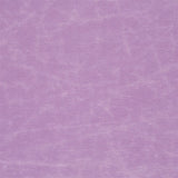 Arizona Crocus — Designers Guild