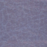 Arizona Currant — Designers Guild