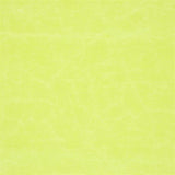 Arizona Lemongrass — Designers Guild