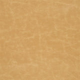 Arizona Sand — Designers Guild