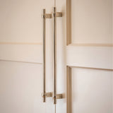 Gaumont Apparathandtag — miljöbild, Polished nickel plate