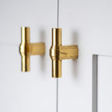 Gaumont T-bar handtag — miljöbild, Polished brass lacquered