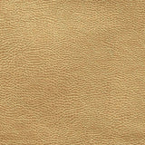 Atacama Gold — Designers Guild tyg